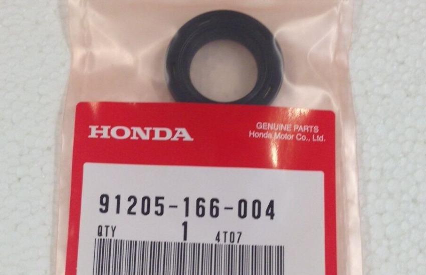 задний сальник коленвала